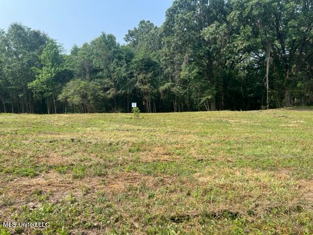 2 Bolin Road Hernando, MS 38632 - Photo 6 of 7 IMG_4404