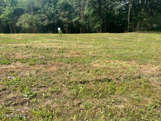 2 Bolin Road Hernando, MS 38632 - Photo 7 of 7 IMG_4405