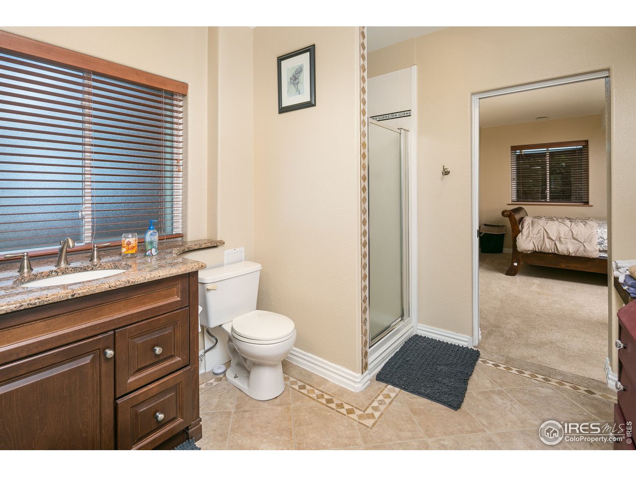 4408 Gray Fox Road Fort Collins, CO 80526 - Photo 19 of 39 Basement Bathroom