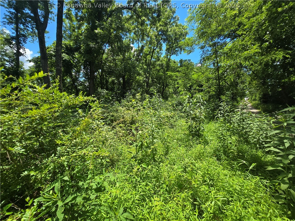0 Peewee Hill Road Palestine, WV 26160 - Photo 6 of 8 Gallery Image 6