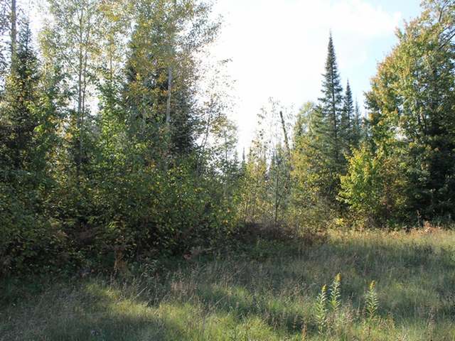 Lot 6 West Turtle Rpds Lane Presque Isle, WI 54557 - Photo 3 of 8 Gallery Image 3
