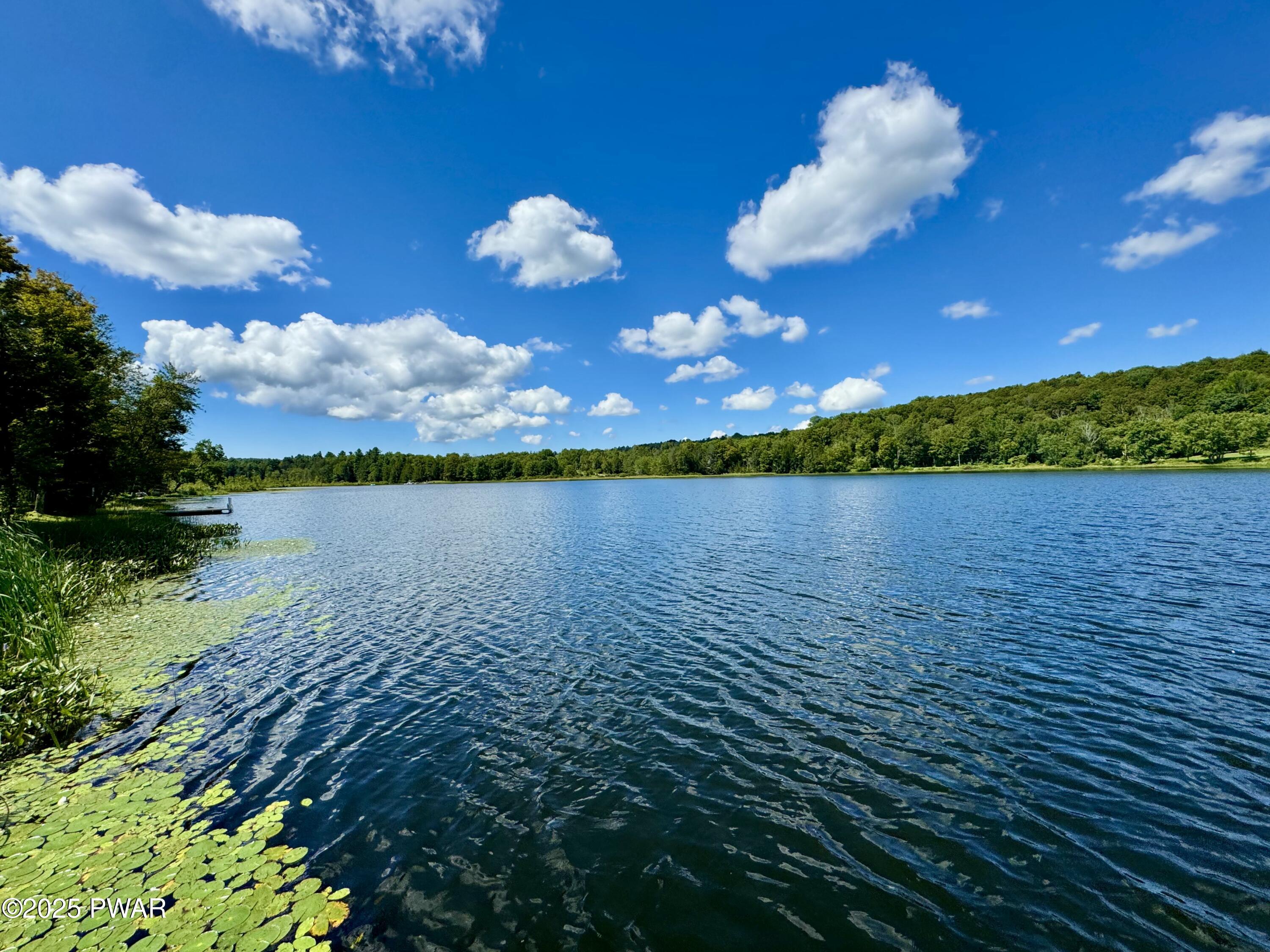 76 South Shore Road Pleasant Mount, PA 18453 - Photo 1 of 30 Gorgeous Bigelow lake