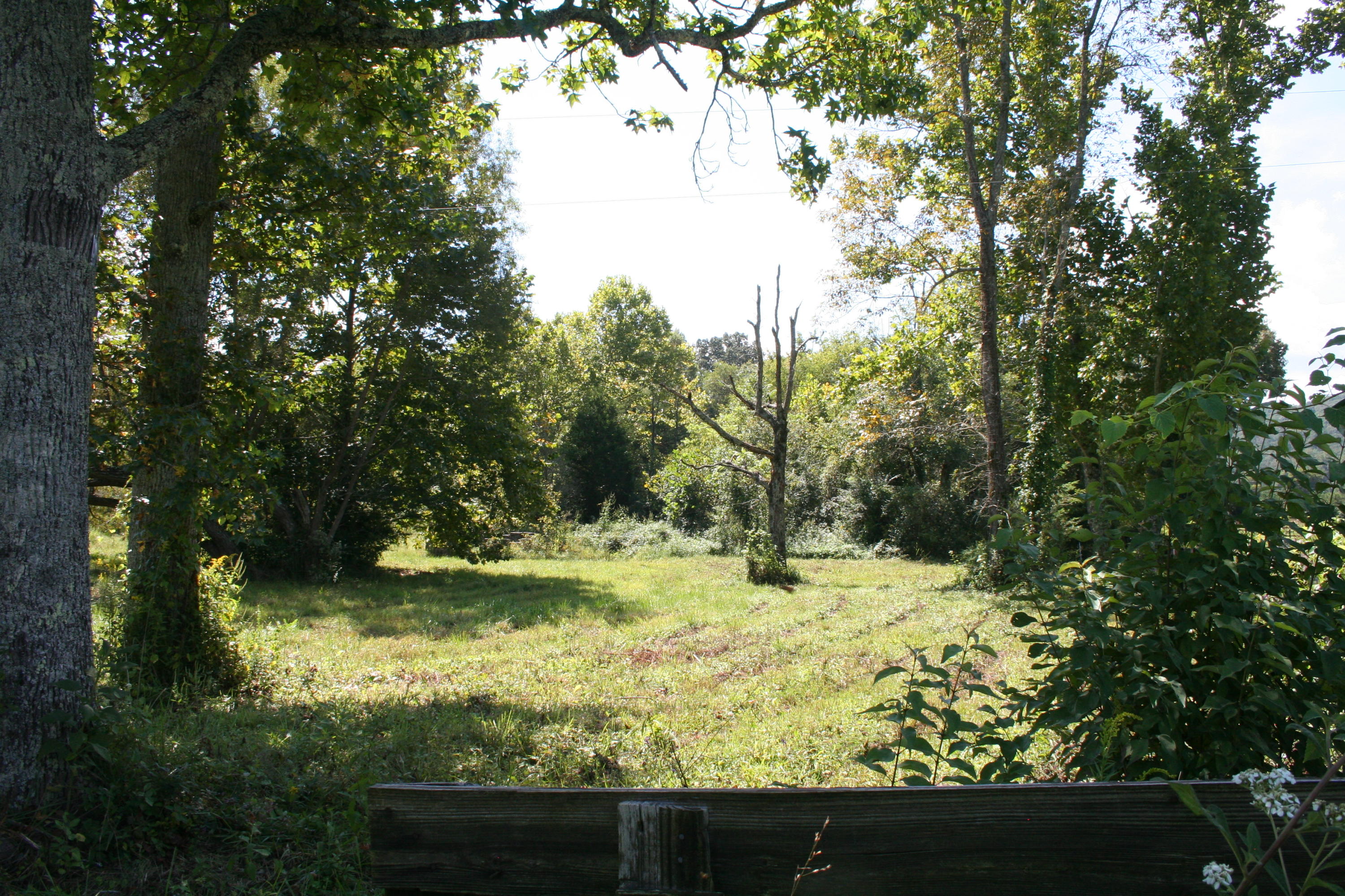 1370 Slygo Road Trenton, GA 30752 - Photo 11 of 12 IMG_0562
