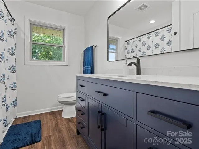 a bathroom with a sink mirror vanity and toilet