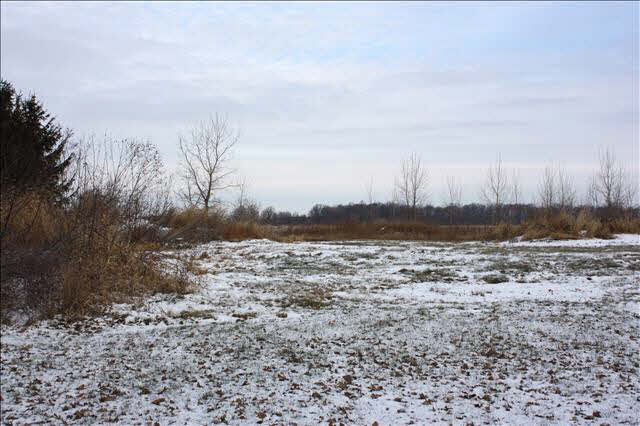 438 Rauch Road Temperance, MI 48182 - Photo 17 of 19 20388653-16.JPG