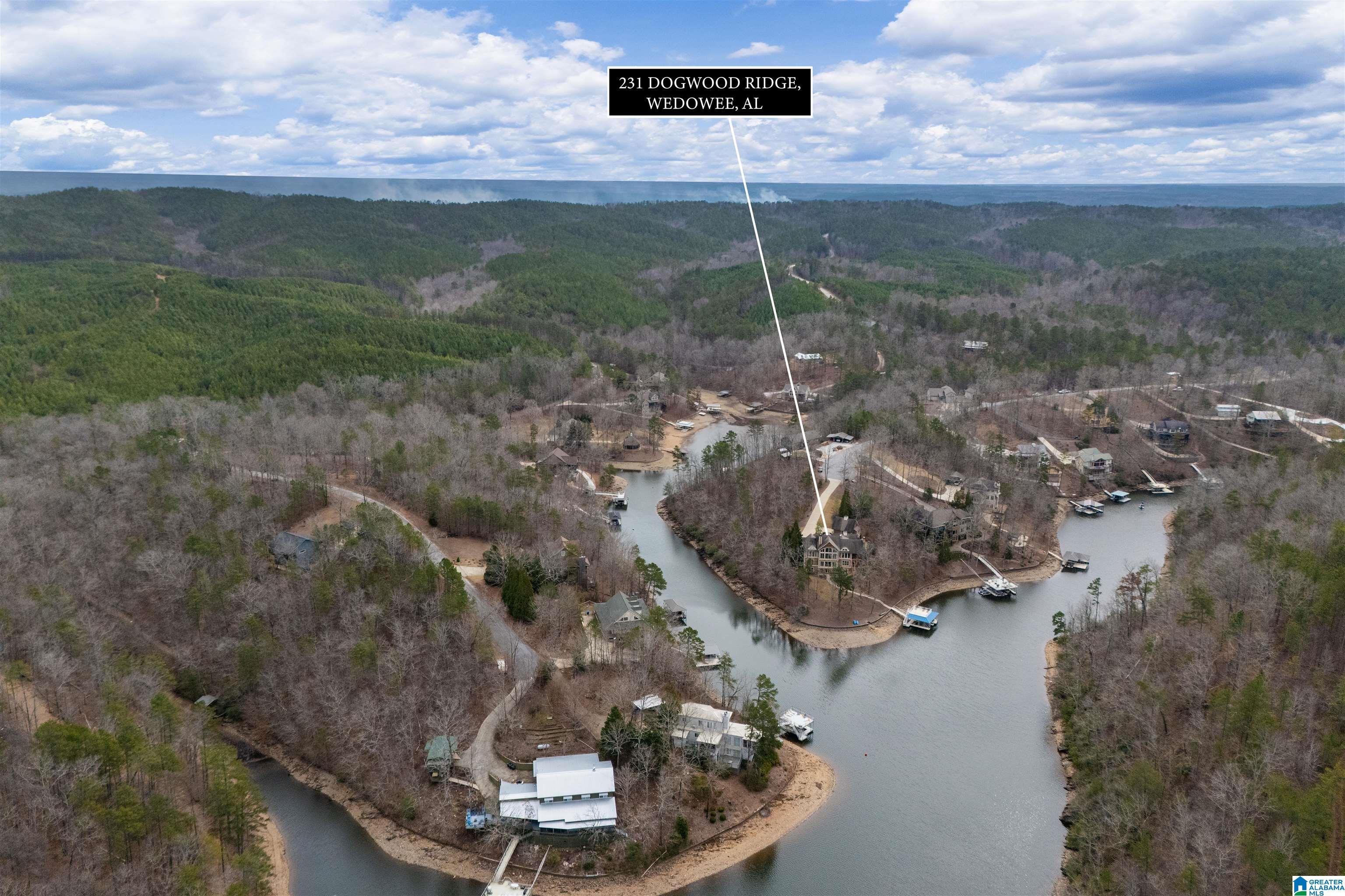 231 Dogwood Ridge North Wedowee, AL 36278 - Photo 3 of 46 Gallery Image 3