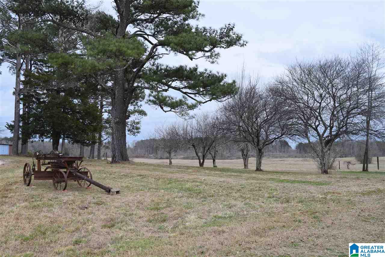 11112 Vance Blocton Road Vance, AL 35490 - Photo 3 of 20