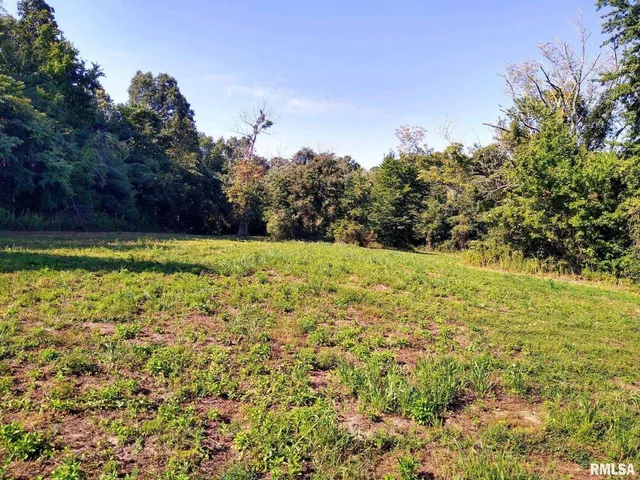 a view of a yard with an outdoor space