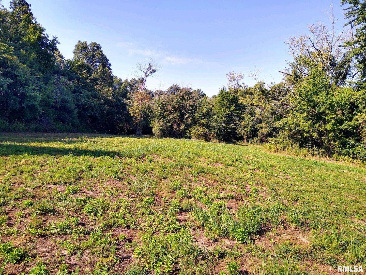 39 Bushwack Road Golconda, IL 62938 - Photo 12 of 28 a view of a yard with an outdoor space