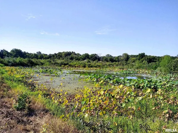 a view of a large green field with lots of bushes