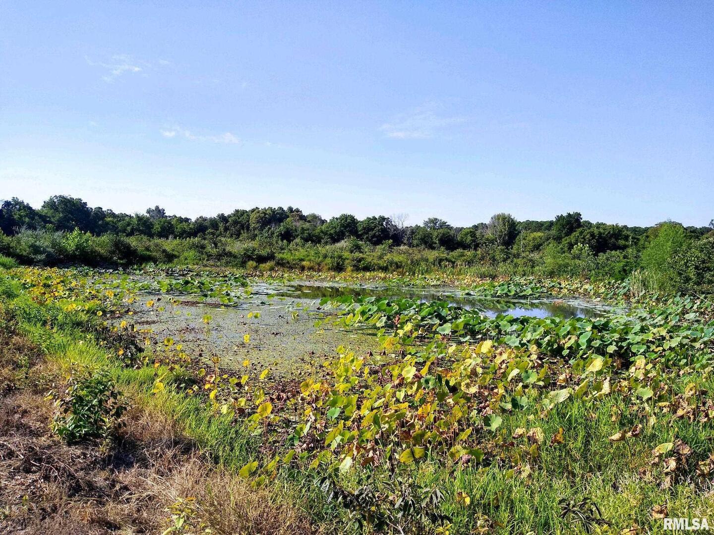 39 Bushwack Road Golconda, IL 62938 - Photo 15 of 28 a view of a large green field with lots of bushes
