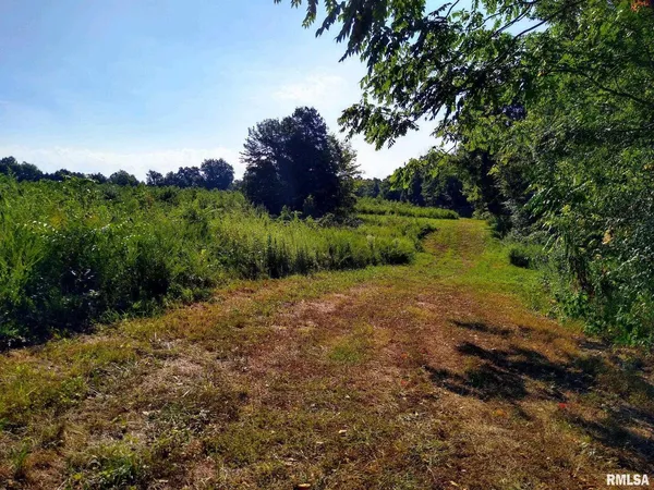 a view of a lake with a yard