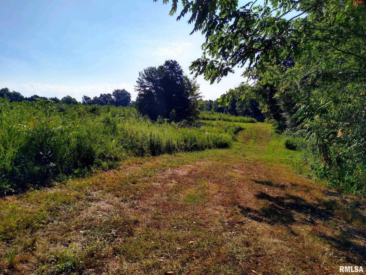39 Bushwack Road Golconda, IL 62938 - Photo 17 of 28 a view of a lake with a yard