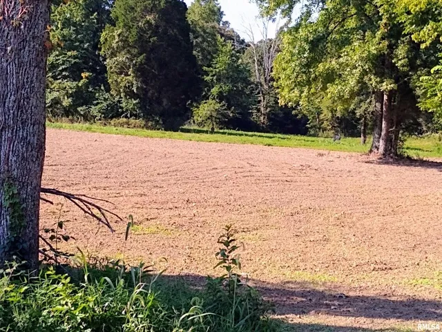 a view of swimming pool with an outdoor space