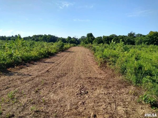 a view of a large yard with lots of green space and deers