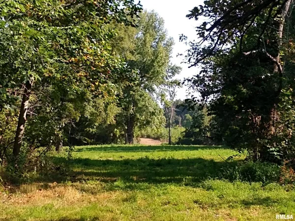 a view of a garden