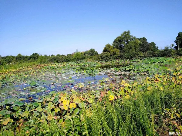 a view of lake with green space