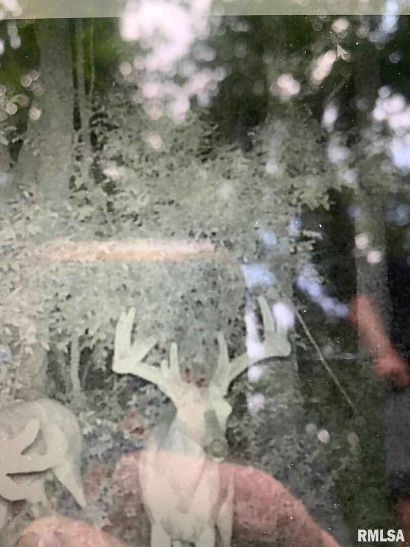 39 Bushwack Road Golconda, IL 62938 - Photo 25 of 28 a view of a yard