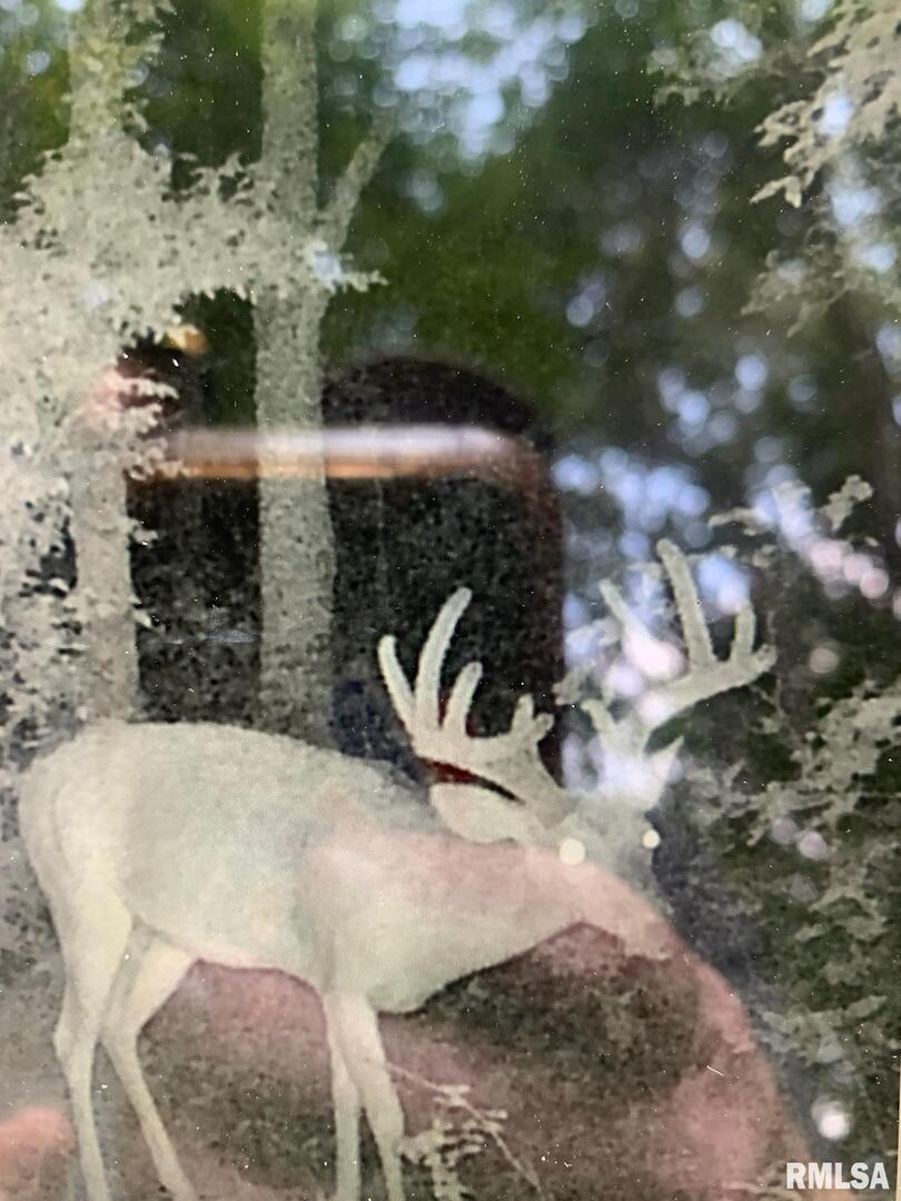 39 Bushwack Road Golconda, IL 62938 - Photo 26 of 28 a view of barbeque area