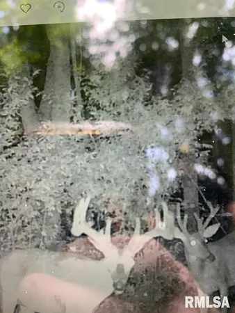 a view of a wooden door and a yard