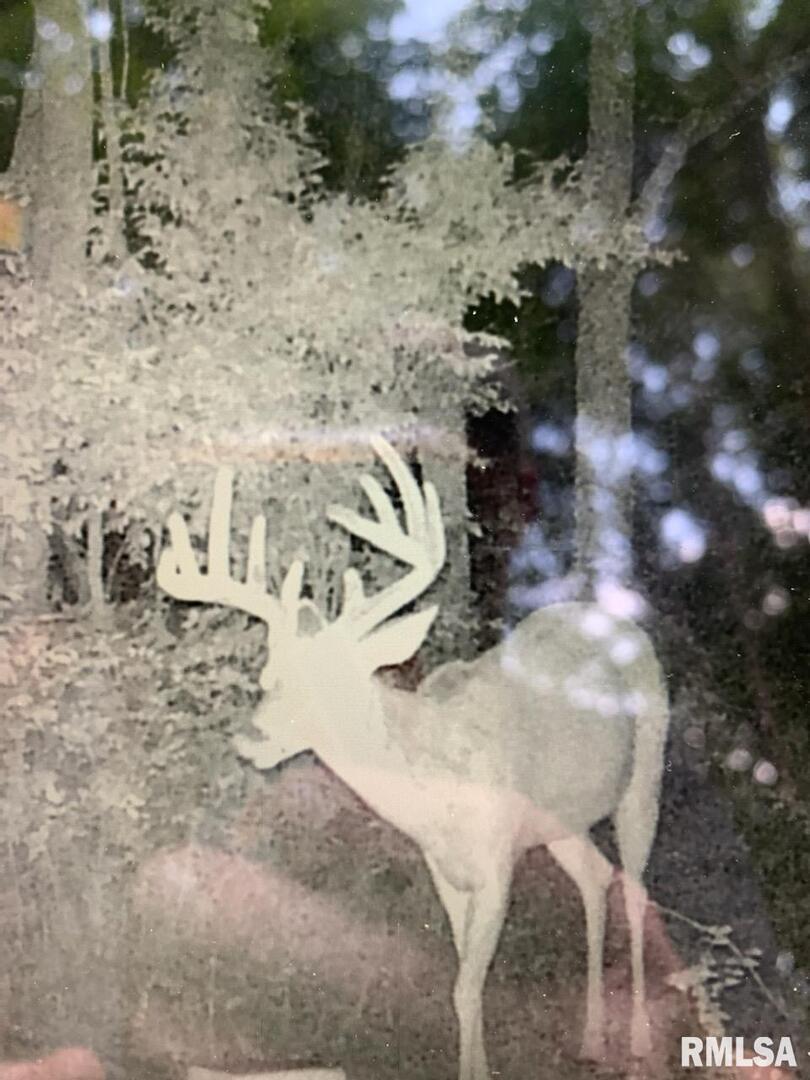 39 Bushwack Road Golconda, IL 62938 - Photo 28 of 28