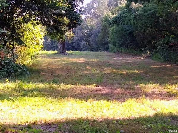 a view of a yard with large trees