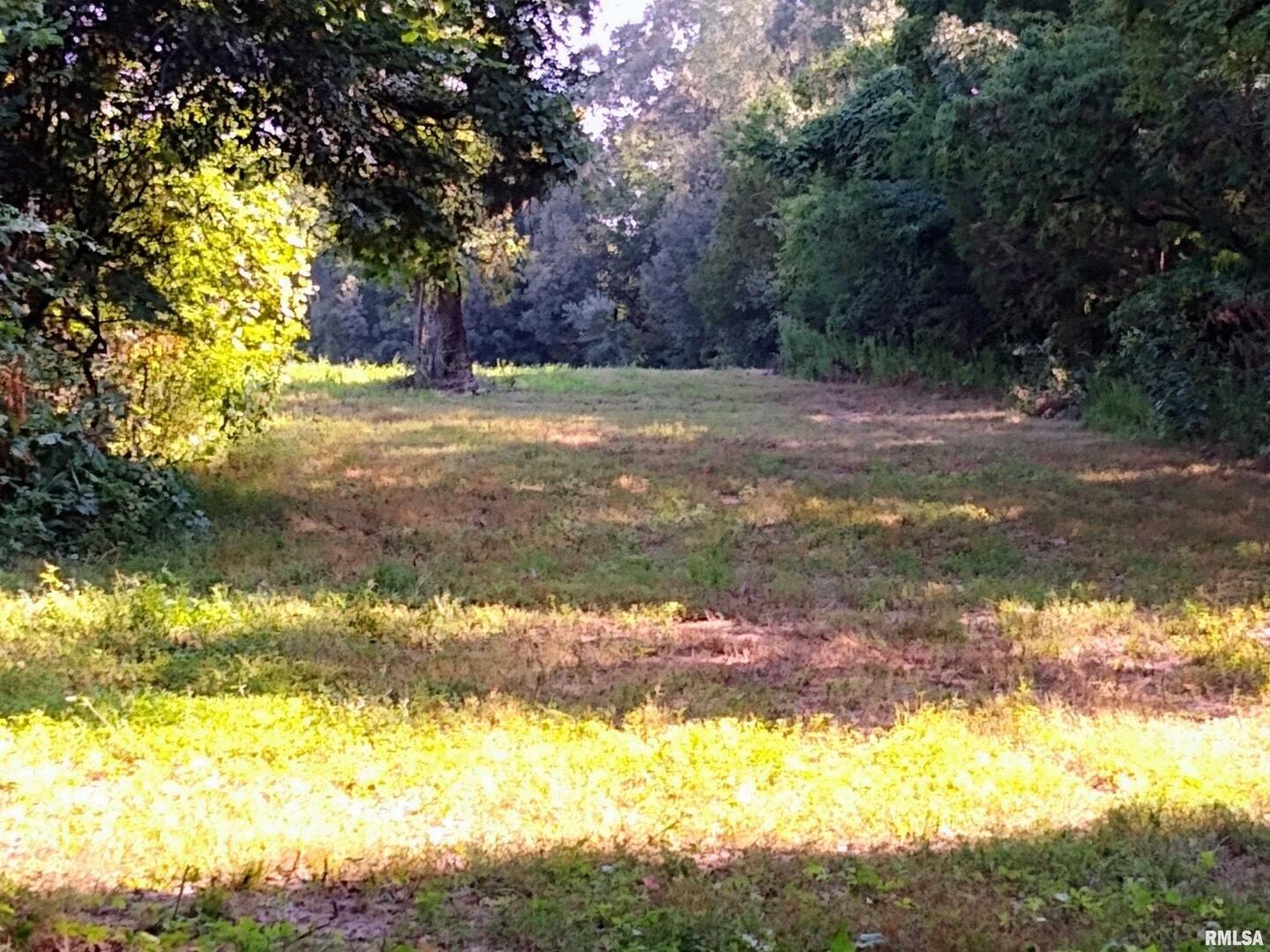 39 Bushwack Road Golconda, IL 62938 - Photo 7 of 28 a view of a yard with large trees