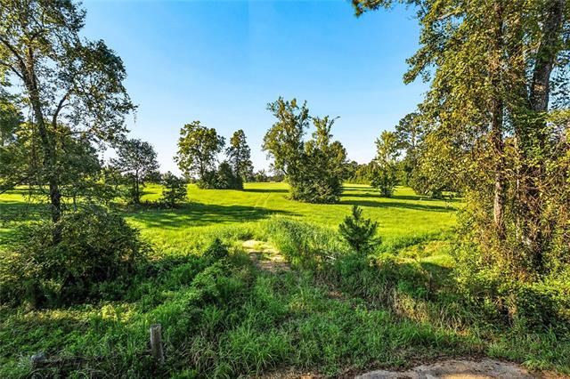 21258 Wallace King Road Bush, LA 70431 - Photo 14 of 17 Gallery Image 14