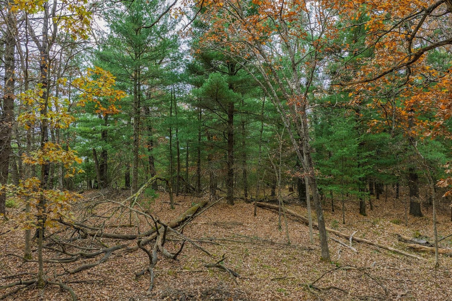 N4755 County Rd HH Mauston, WI 53948 - Photo 45 of 52