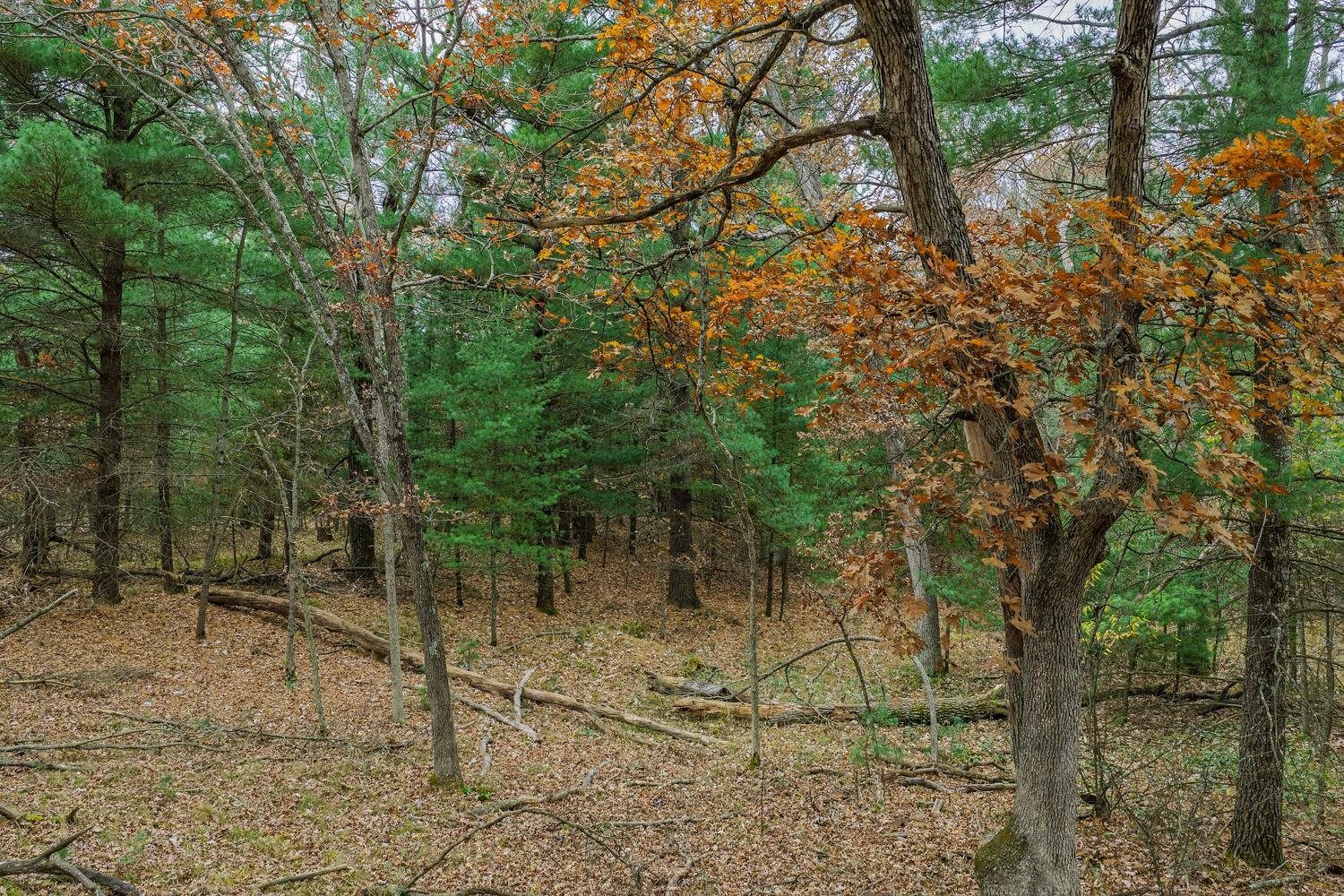 N4755 County Rd HH Mauston, WI 53948 - Photo 47 of 52