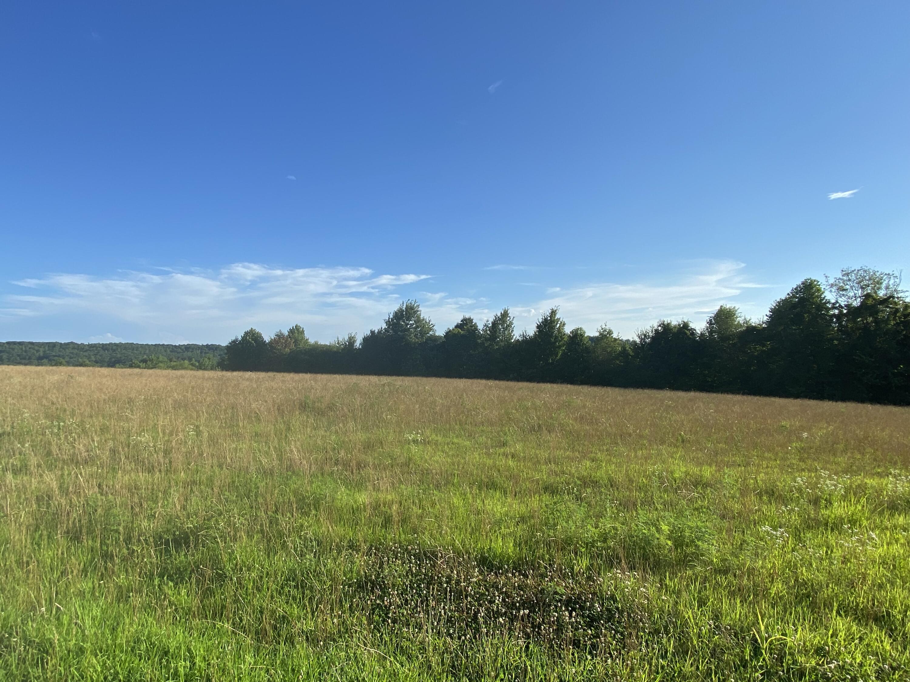 9 Adkins-Arthur Road Somerset, KY 42501 - Photo 2 of 3 IMG_0209