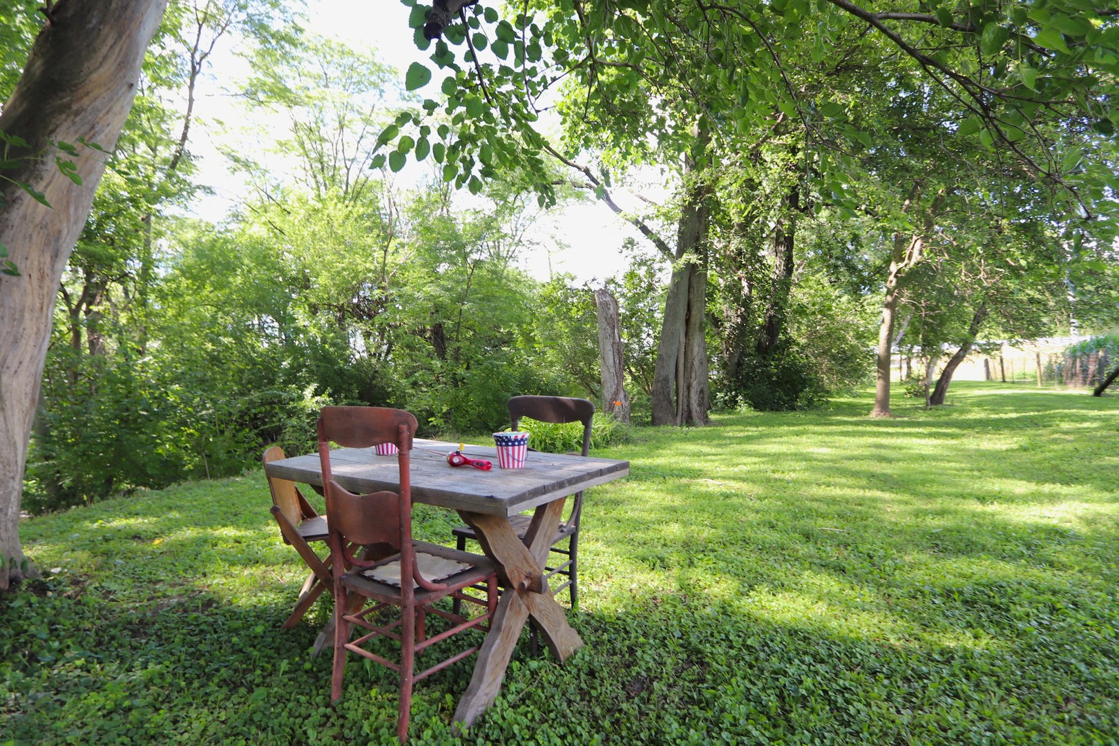 755 East Grand Ridge Road Mazon, IL 60444 - Photo 53 of 57
