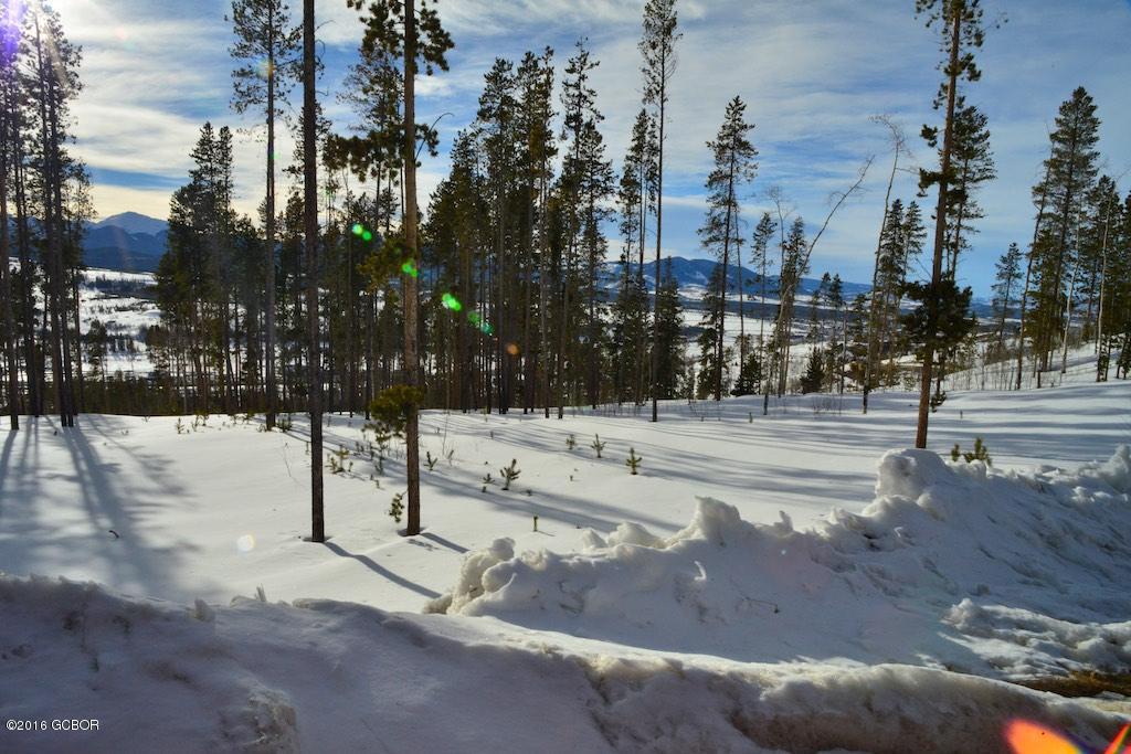 139 Cozens Ridge Fraser, CO 80442 - Photo 20 of 22 139 Cozens Ridge 20