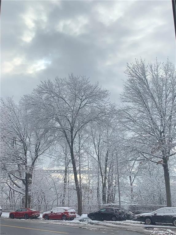 9437 Shore Road, Unit 1A Brooklyn, NY 11209 - Photo 3 of 19