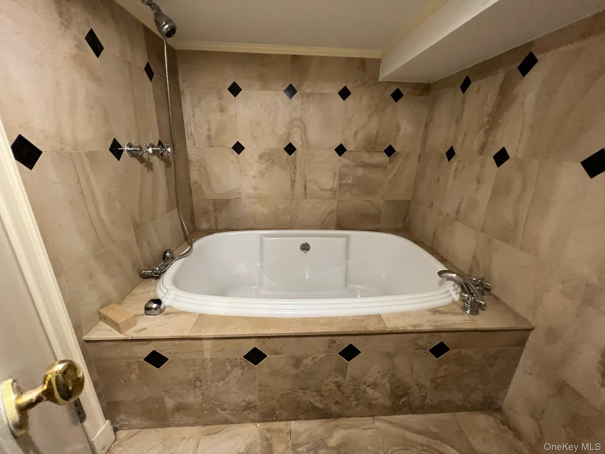 52-62 68th Street Queens, NY 11378 - Photo 5 of 15 a bathroom with a tub