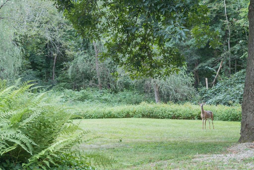 348 Boston Post Road Weston, MA 02493 - Photo 20 of 30