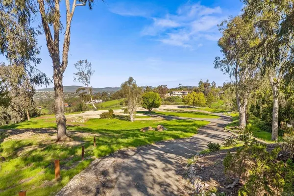 a view of a yard with an trees