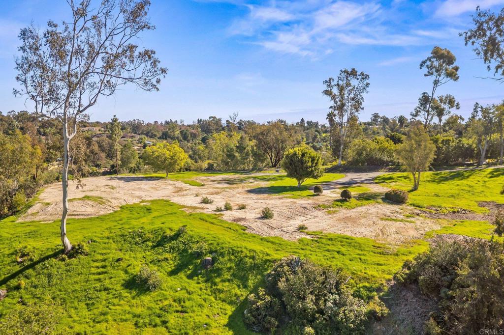 18065 Avenida Alondra Rancho Santa Fe, CA 92067 - Photo 12 of 15 a view of a yard with swimming pool