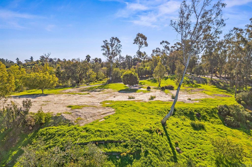 18065 Avenida Alondra Rancho Santa Fe, CA 92067 - Photo 13 of 15 a view of a yard with an trees