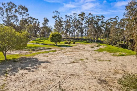 a view of a yard with a tree
