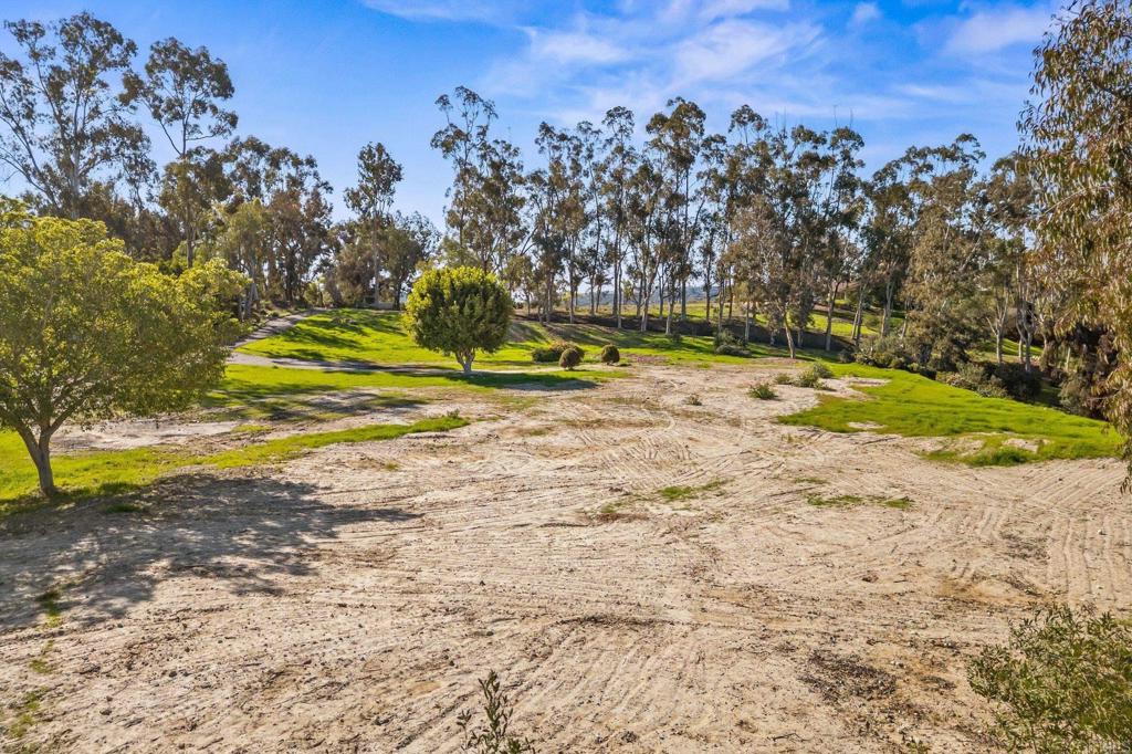 18065 Avenida Alondra Rancho Santa Fe, CA 92067 - Photo 14 of 15 a view of a yard with a tree