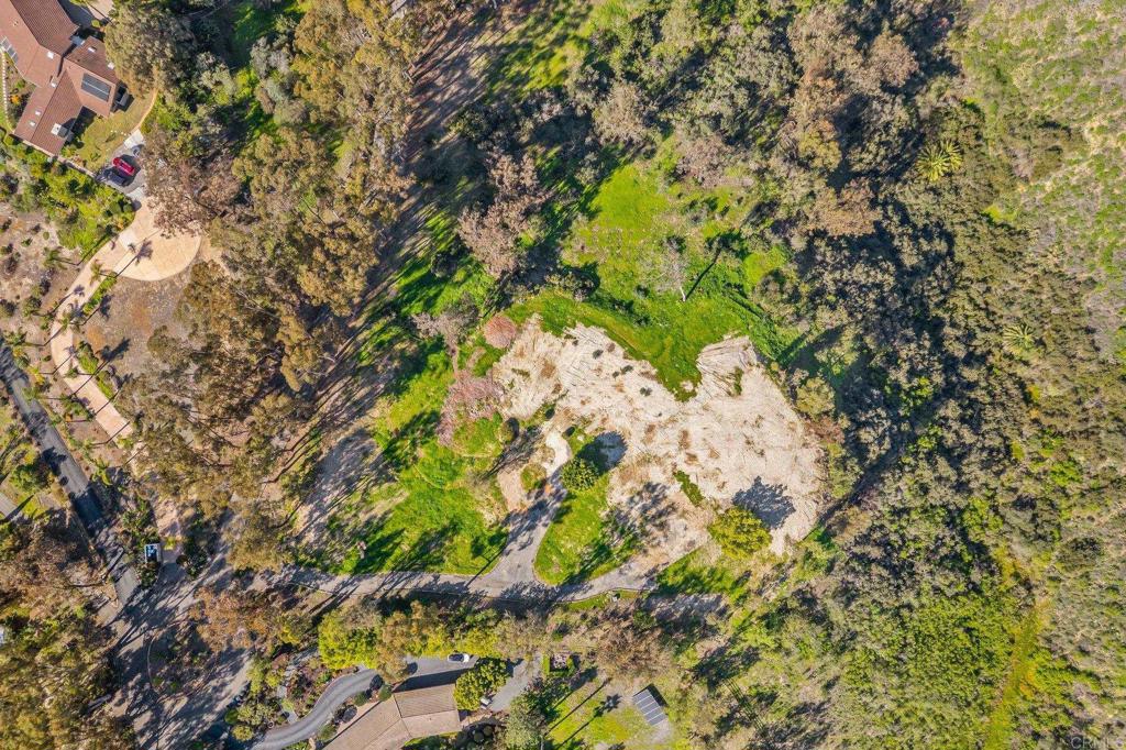 18065 Avenida Alondra Rancho Santa Fe, CA 92067 - Photo 15 of 15 a backyard of a house