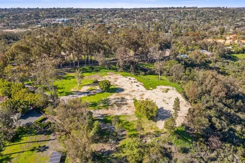 a view of a yard with plants