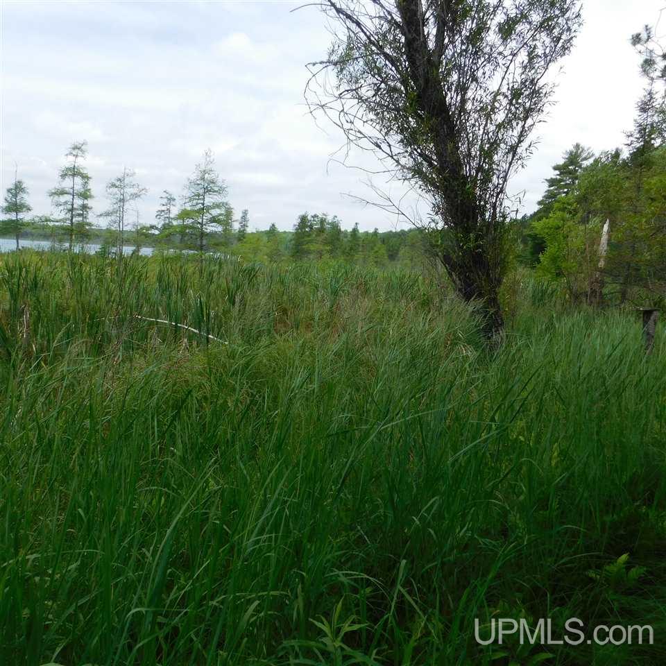 Tbd Reisner Lake Road, Unit 4 5 & 6 Long Lake, WI 54542 - Photo 4 of 9