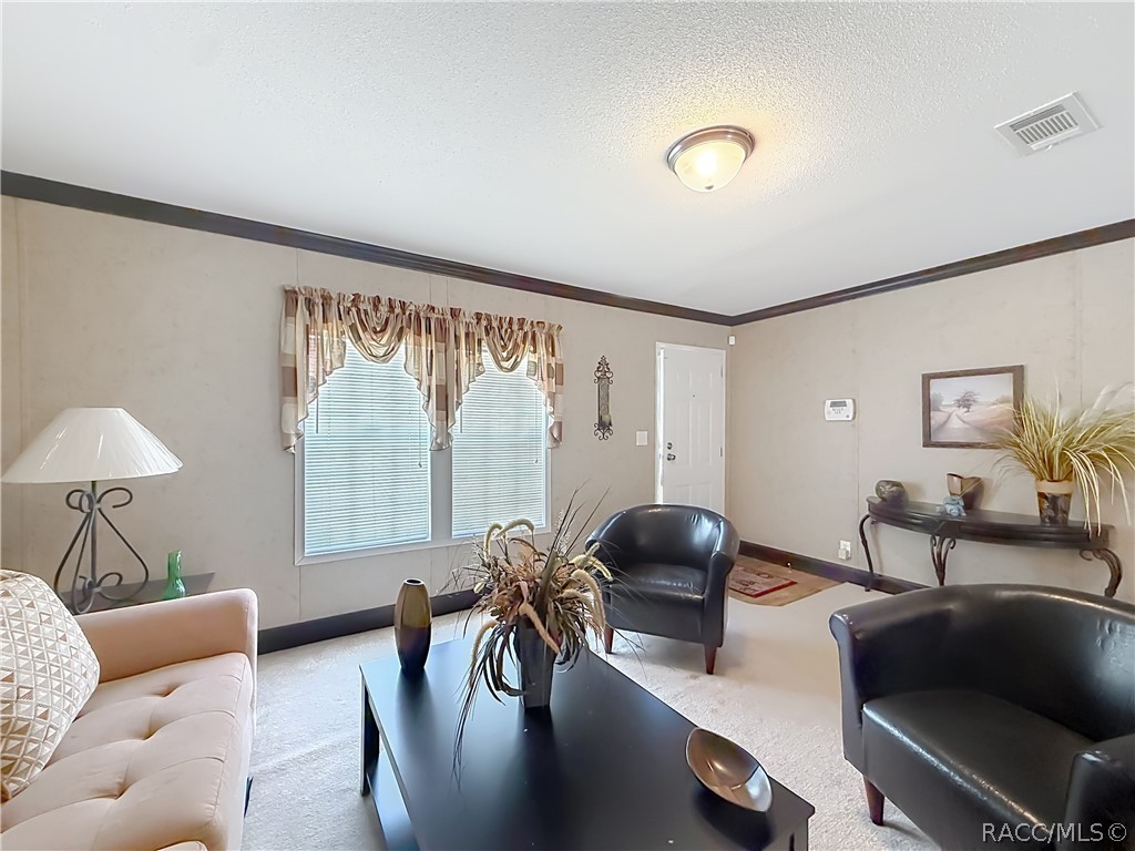 6498 West Rosedale Drive Homosassa, FL 34448 - Photo 9 of 42