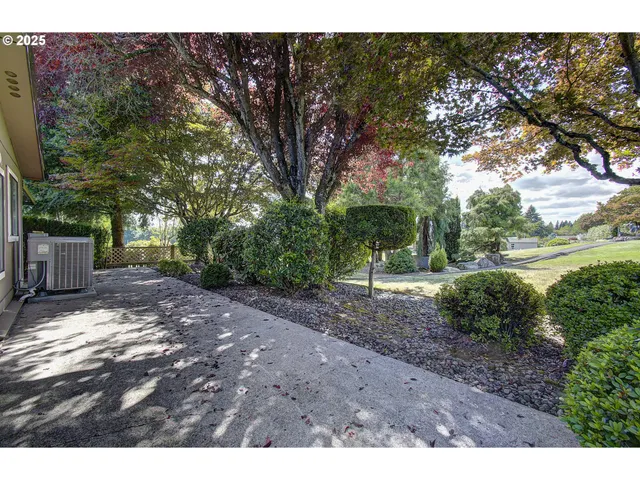 a view of a yard with plants and a large tree