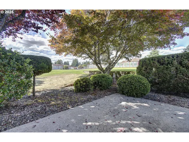 a view of a yard with plants and trees