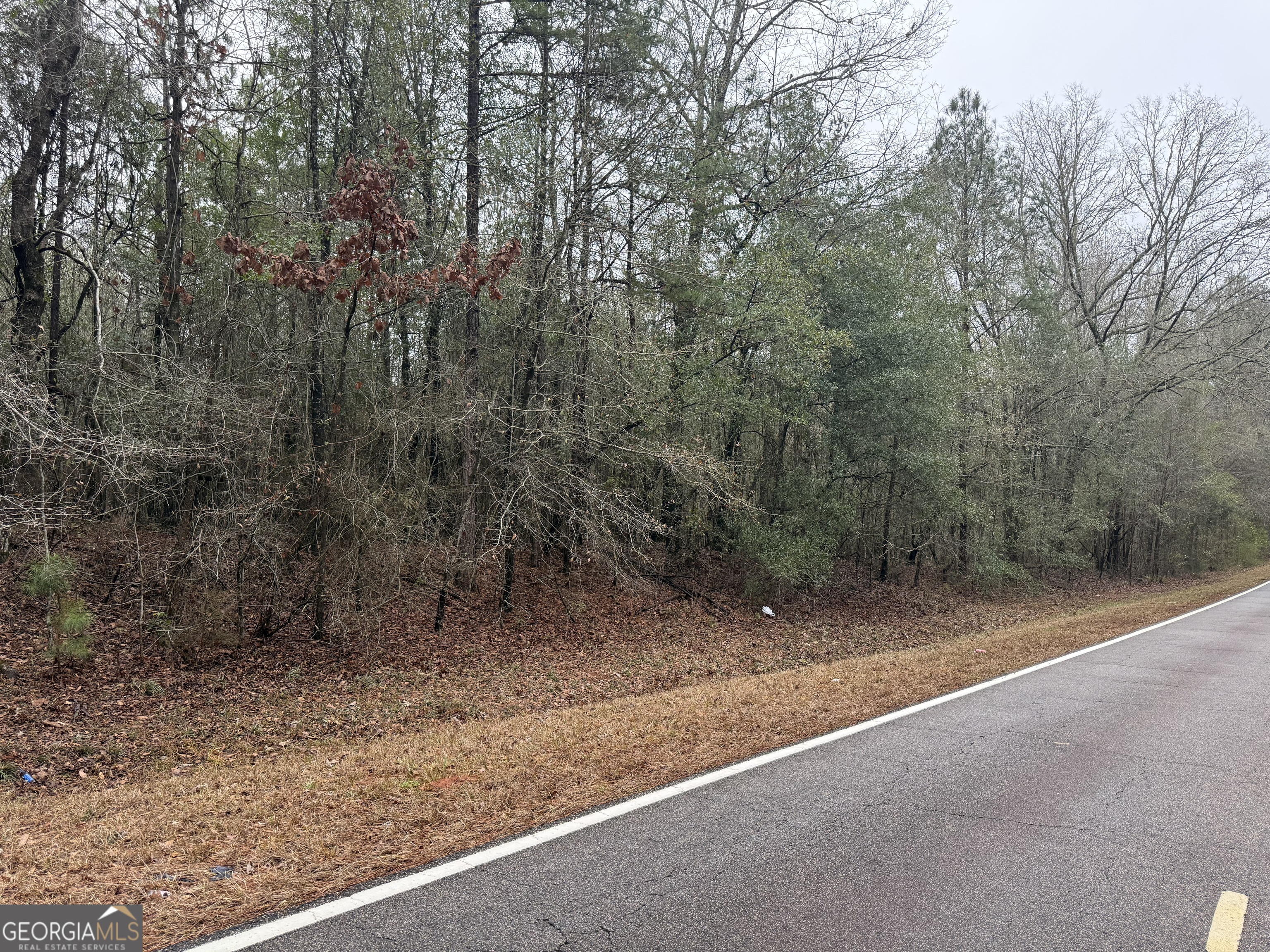 0 Salem Road Pine Mountain, GA 31822 - Photo 4 of 6