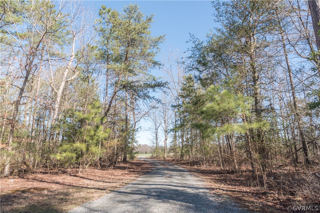 588 King William Road Hanover, VA 23069 - Photo 2 of 46 Gallery Image 2