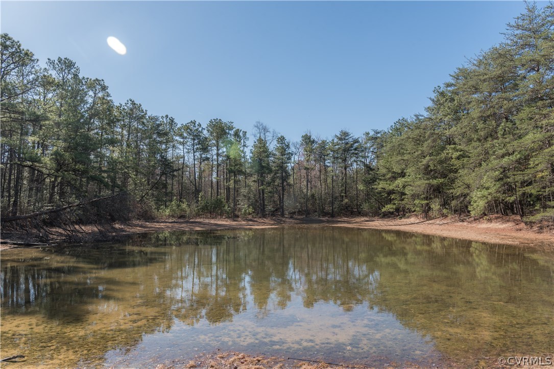 588 King William Road Hanover, VA 23069 - Photo 46 of 46 Gallery Image 46